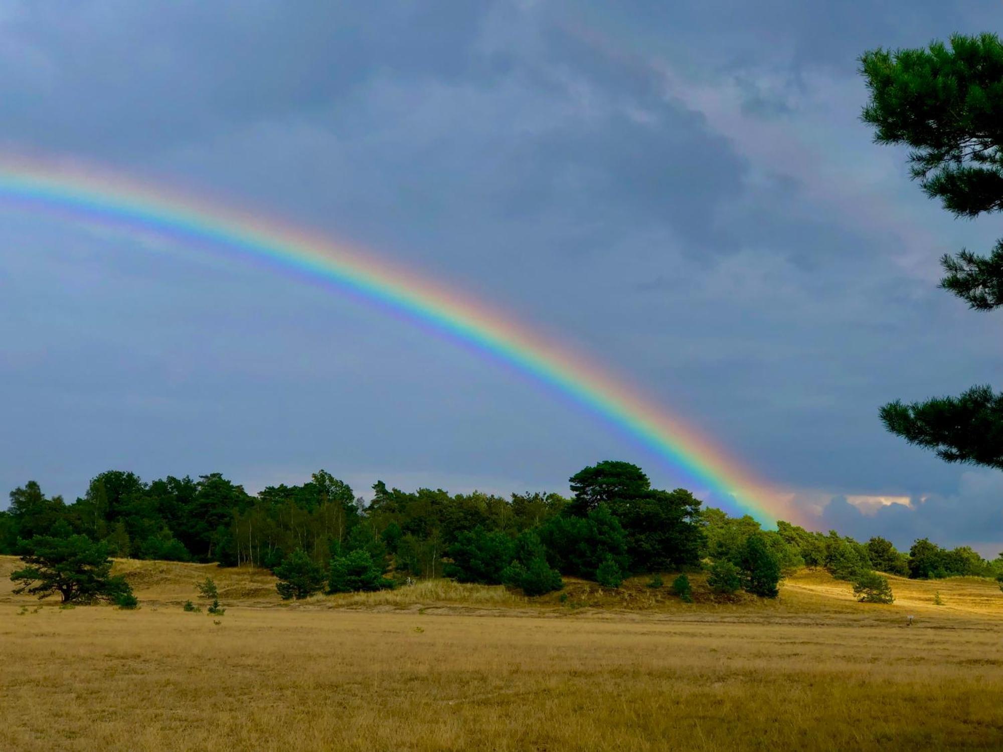Het Natuurhuisje Op De Veluwe Nunspeet Exterior foto